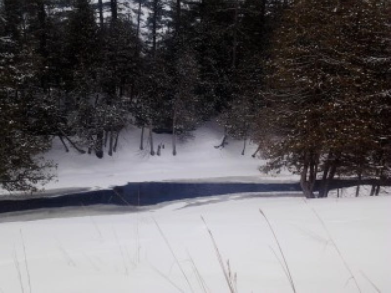~~; Eels Creek @ Quarry Lake ;~~, creek, trees, snow, winter, HD wallpaper