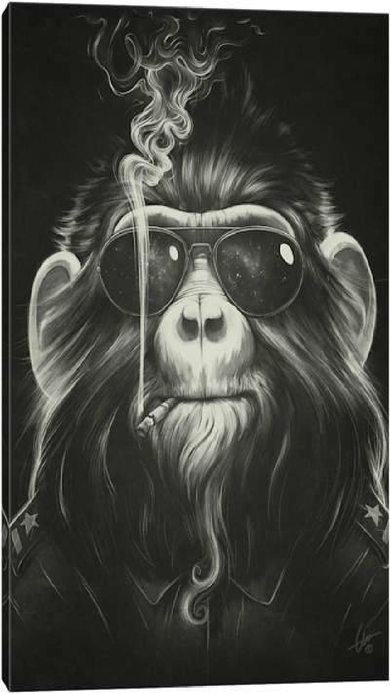 No smoking pal, monkey, black and white, cool, HD phone wallpaper
