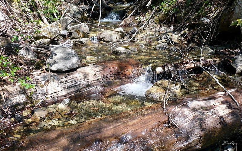Snow Melt, stream, water, mountains, washington, creek, log, HD wallpaper