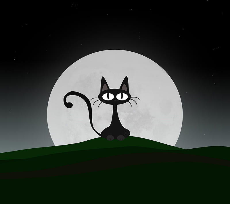 Meow, cat, cute, eyes, funny, humor, kitty, moon, HD wallpaper