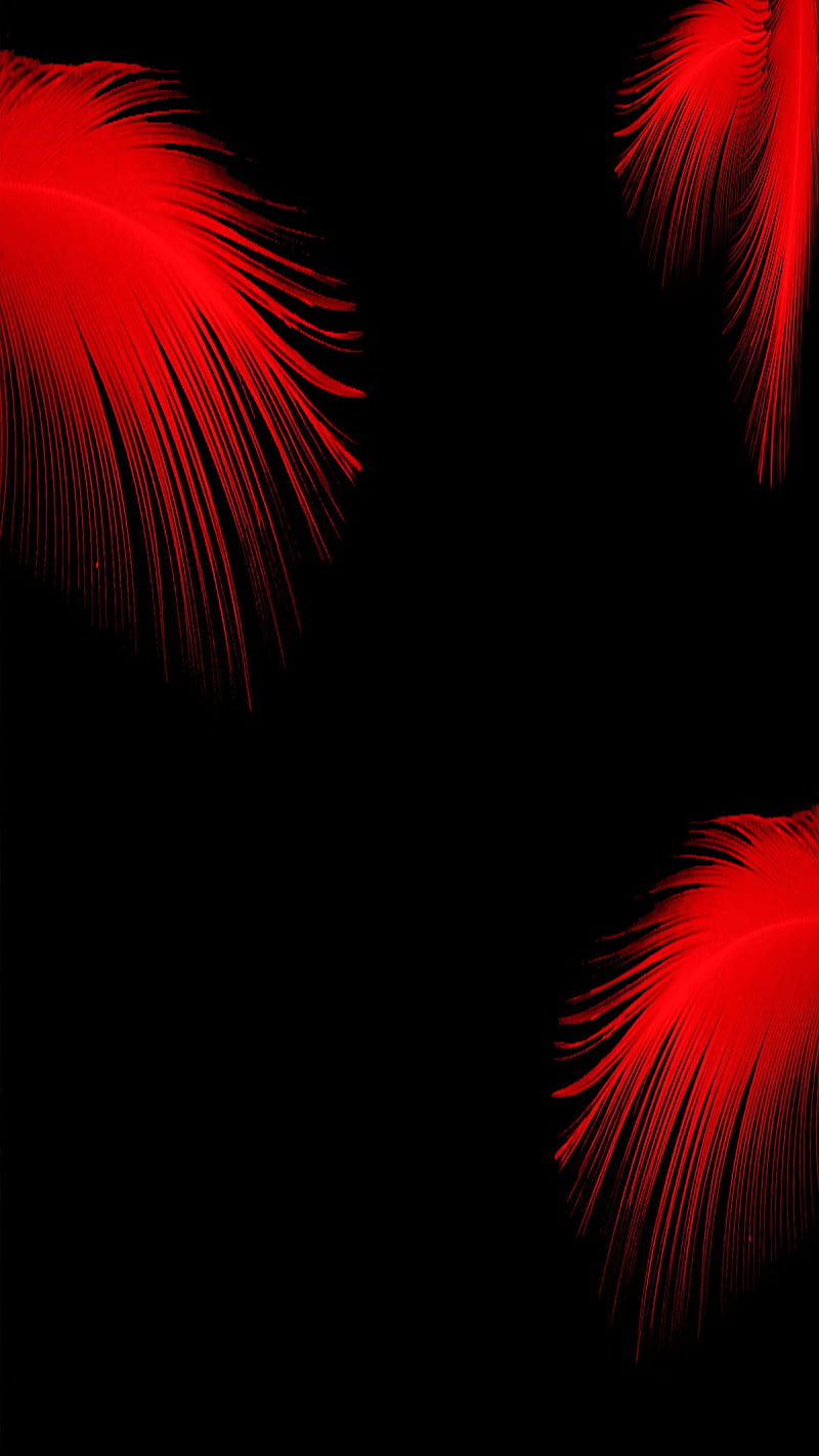 Feathers, red, HD phone wallpaper