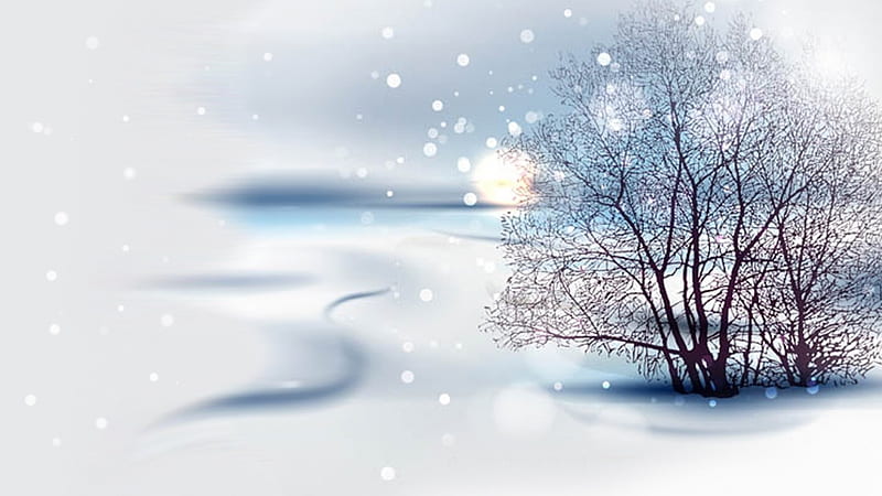 Soft Winter Landscape, drifts, sun, winter, tree, bokeh, snow, ze, ice, frozen, light, HD wallpaper