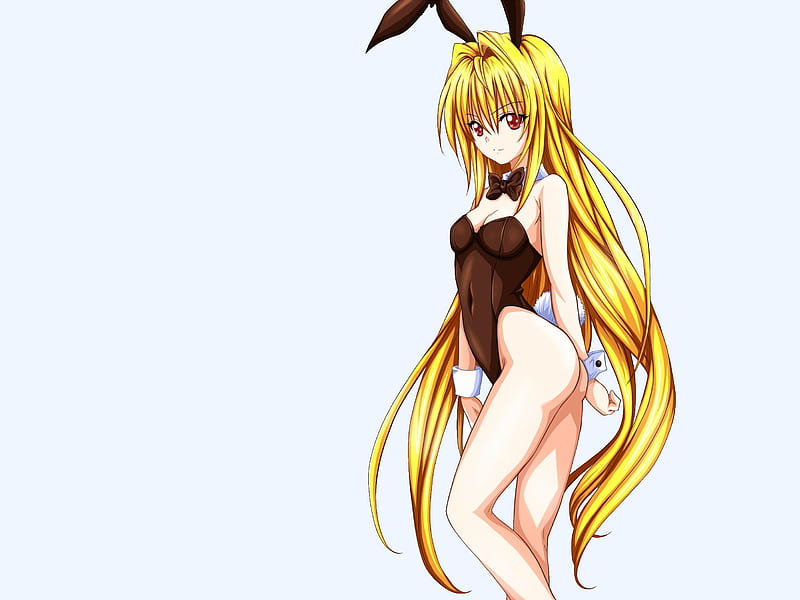 Sexy Bunny, girl, anime, ears, blonde hair, bunny, sexy, HD wallpaper