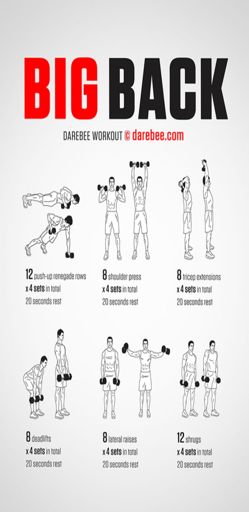 Big back fitness, gym, health, lift, men, muscle, weights, workout, HD ...