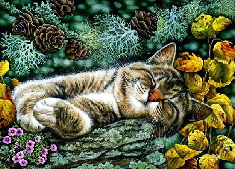 So Tired, leaves, painting, flowers, resting, cat, pinecones, sleeping, artwork, HD wallpaper