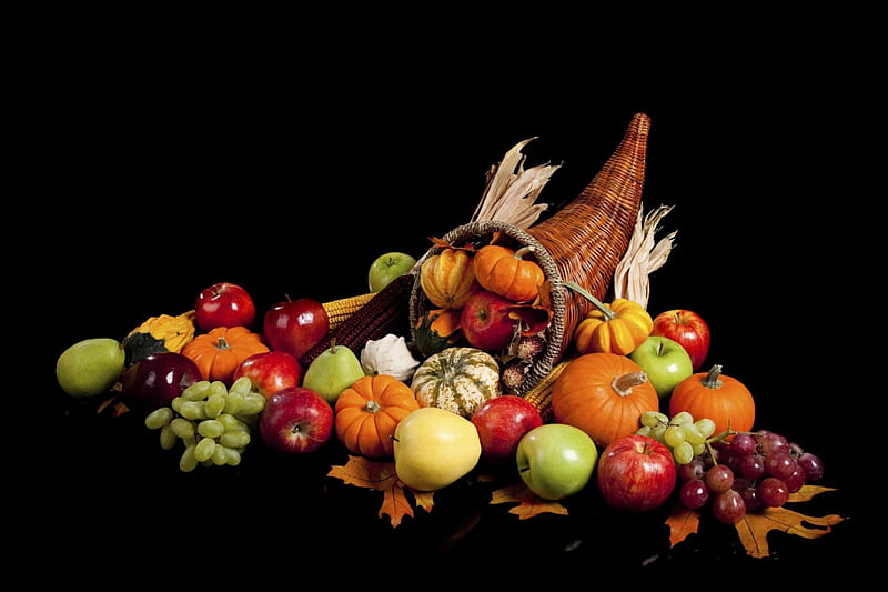 Cornucopia, corn, Fall, apples, fruits, gourds, horn of plenty, grapes, pears, leaves, Thanksgiving, Autumn, pumpkins, HD wallpaper