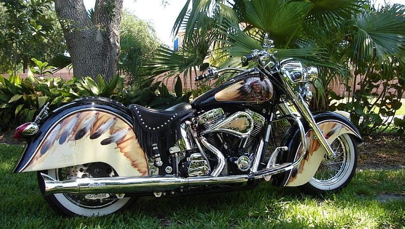beautifully painted vintage indian motorcycle, vitage, grass, paint job, trees, motorcycle, HD wallpaper