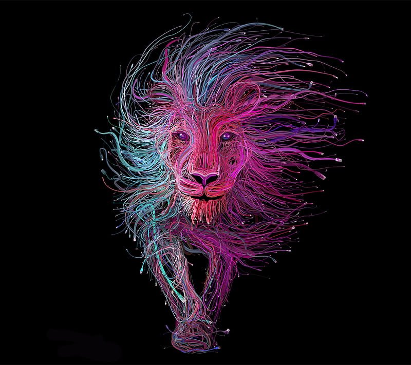 Lion, art, black, colors, purple, HD wallpaper | Peakpx