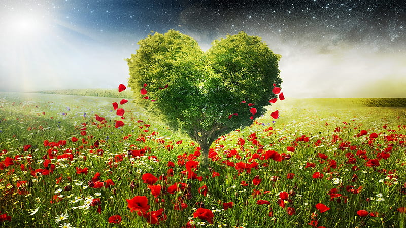 Green Spring Heart Tree Field Leaves Hd Wallpaper Peakpx