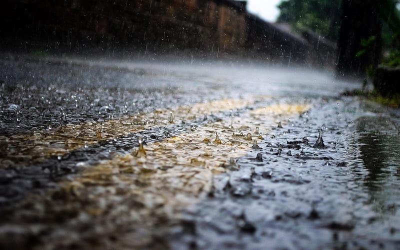 heavy rain, wet road, dividing lines, road markings, rain concepts, asphalt road, HD wallpaper