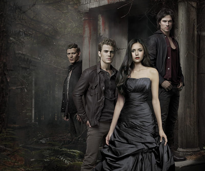Fantastic  The Vampire Diaries  Amazing tvd HD wallpaper  Pxfuel