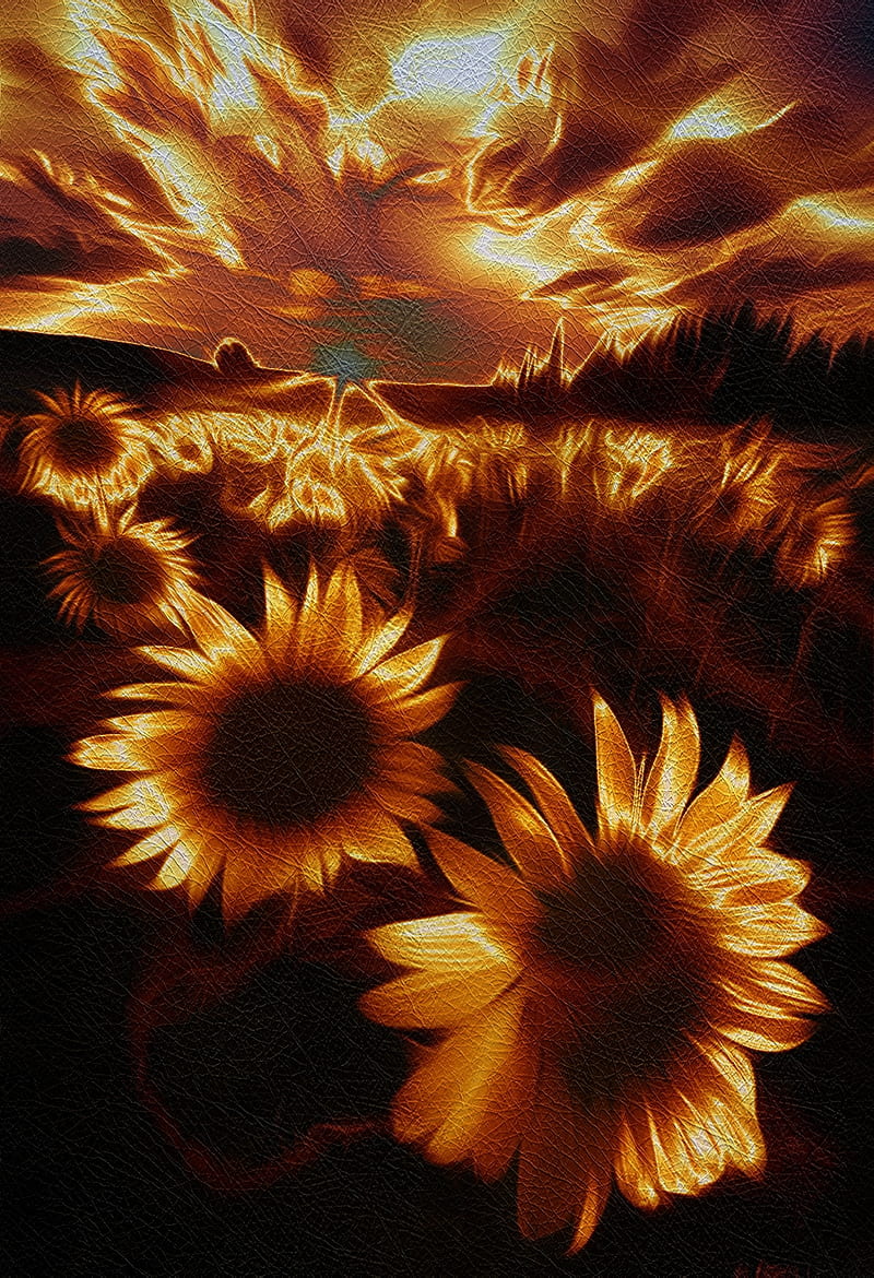 Flor de fuego, negro, color, mi arte, naranja, girasol, Fondo de pantalla de  teléfono HD | Peakpx