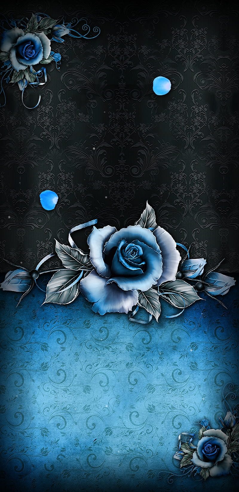 Blue Rose, flower, girly, pretty, HD phone wallpaper