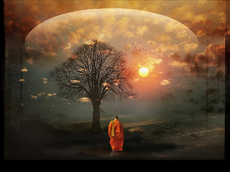 Tree of Life, monk, tree, unity, symbolic, kabbalah, HD wallpaper