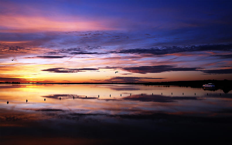Sunset on a dark lake, boat, dark, birds, sunset, lake, HD wallpaper ...