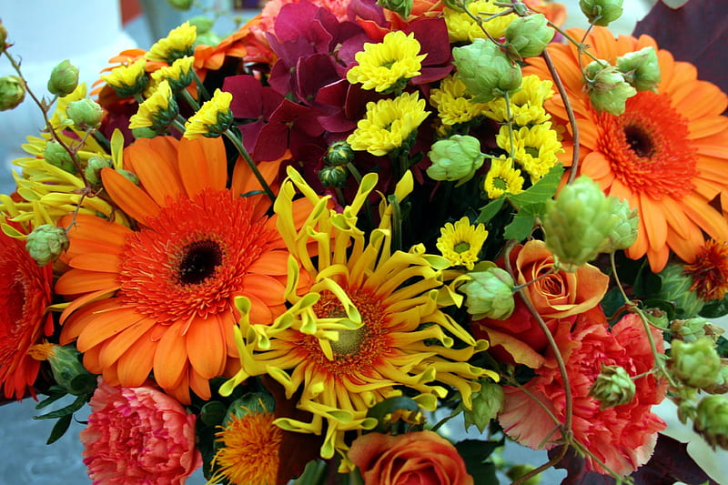 Autumn Flowers, bouquet, chrysanthemum, gerbera, blossoms, colors, petals, roses, HD wallpaper