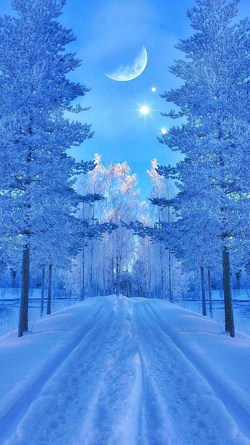 Winter Fantasy, trees, snow, cold, moon, galaxy, sky, blue, trail, frost, HD phone wallpaper