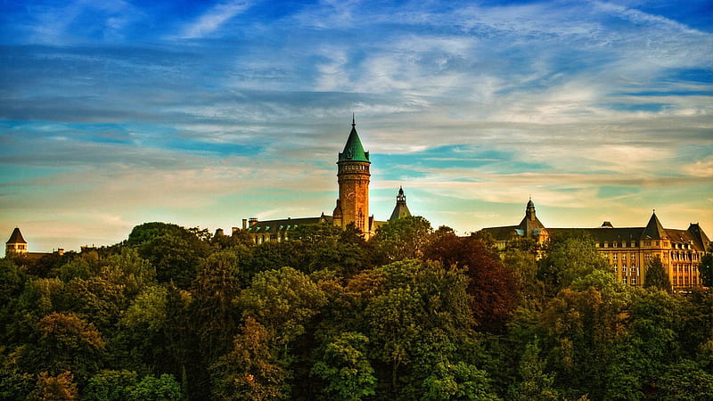 castle within a forest r, forest, tower, r, clouds, castle, hill, HD wallpaper