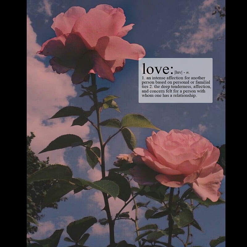 Love, bts, clouds, love yourself, rose, sky, sunset, HD phone wallpaper |  Peakpx
