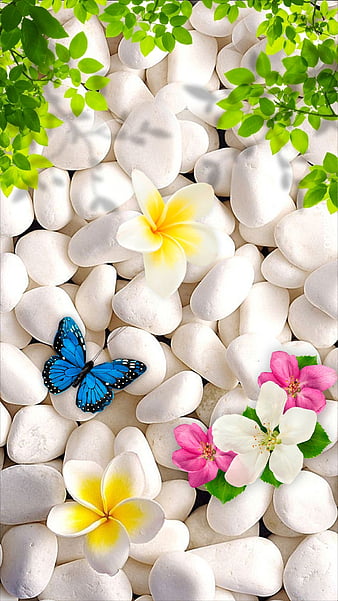 Nature, blue butterfly, butterfly, flowers, green leves, pebbles, pink flowers, shadow, white pebbles, HD phone wallpaper