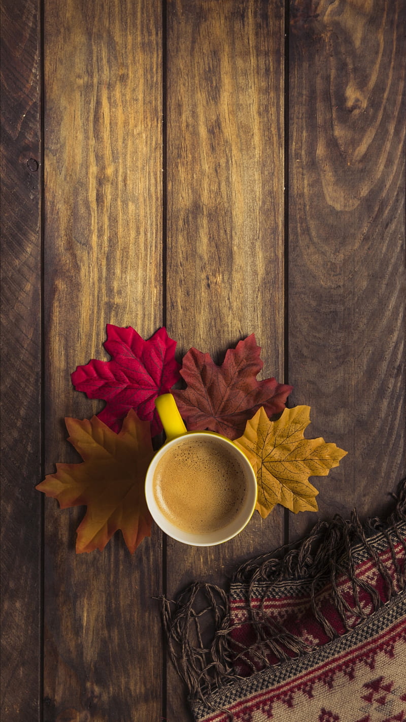 Morning coffee, autumn, cup, fall, leaves, season, wood, wooden, HD phone wallpaper