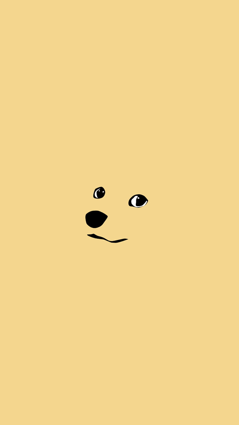 Doge Intensified, dog, funny, HD phone wallpaper