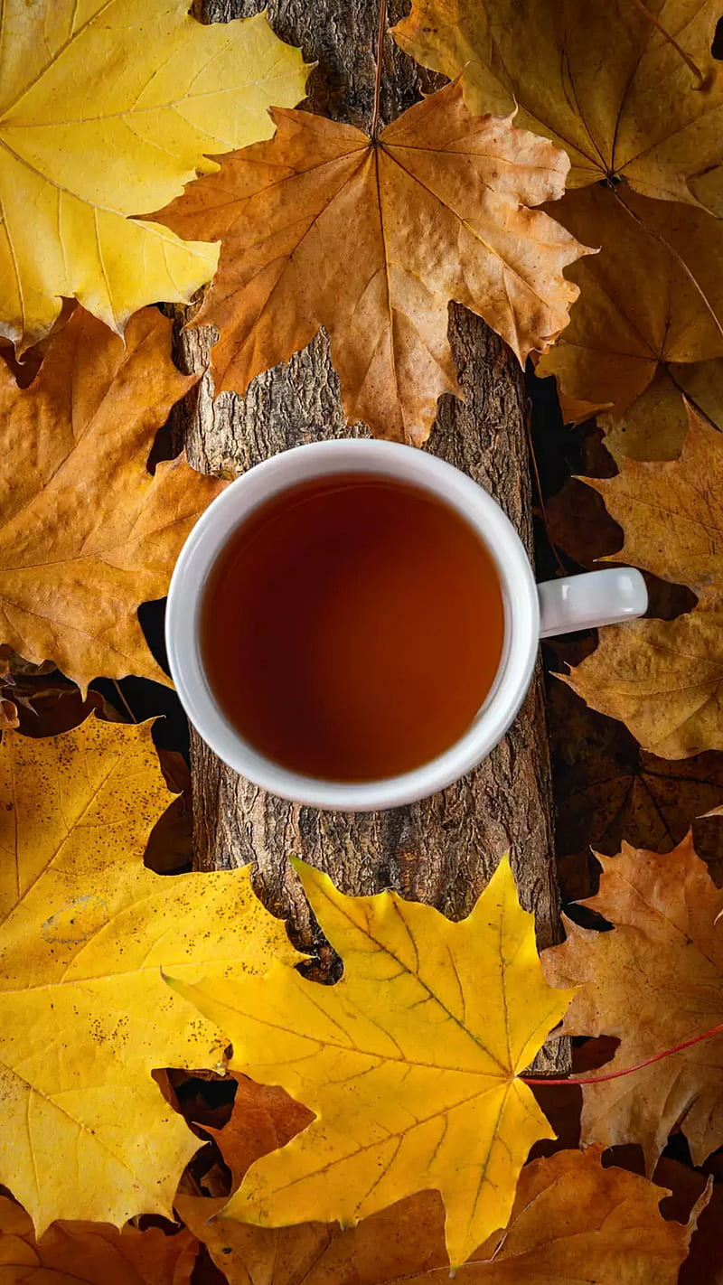 Fall morning, autumn, autumn , good, good morning, leaves, tea, HD phone wallpaper