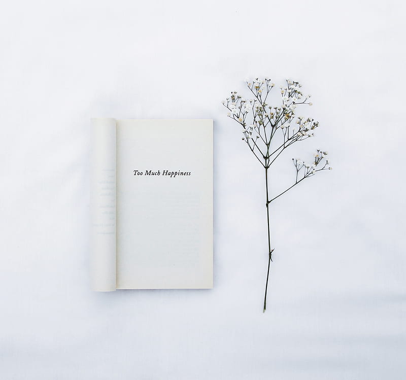 book, inscription, words, flower, white, minimalism, HD wallpaper