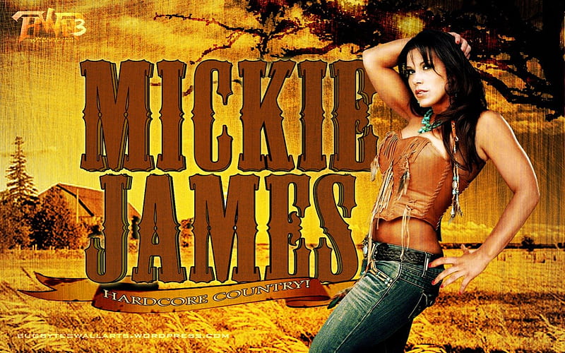 Mickie James (#1), james, mickie, tna, wwe, HD wallpaper