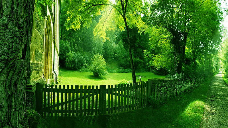 Green Scenery Grass Trees Plants Bushes Wood Fence Green Aesthetic, HD wallpaper