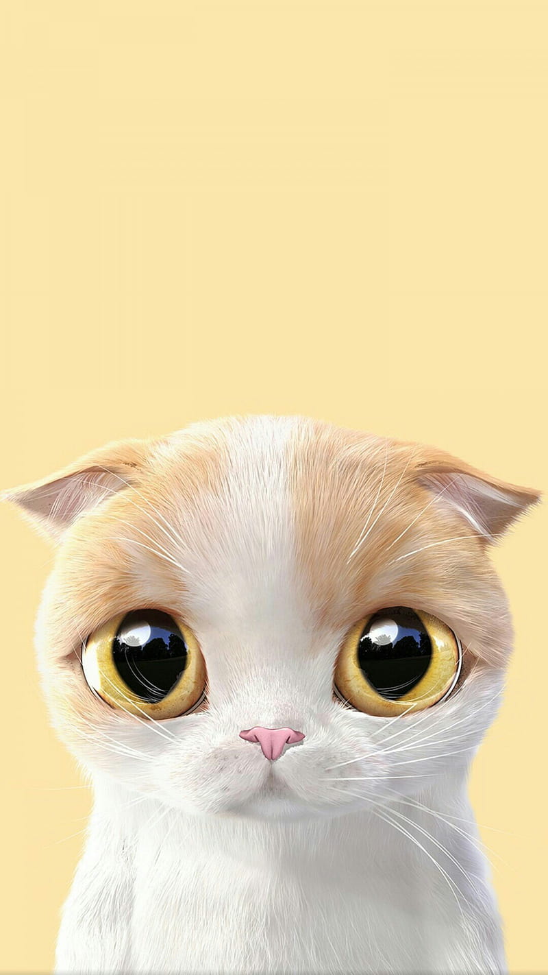 cute cat, animal, face, qute, HD phone wallpaper