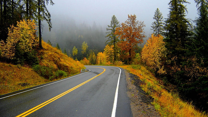 autumn road trip-Nature landscape, HD wallpaper