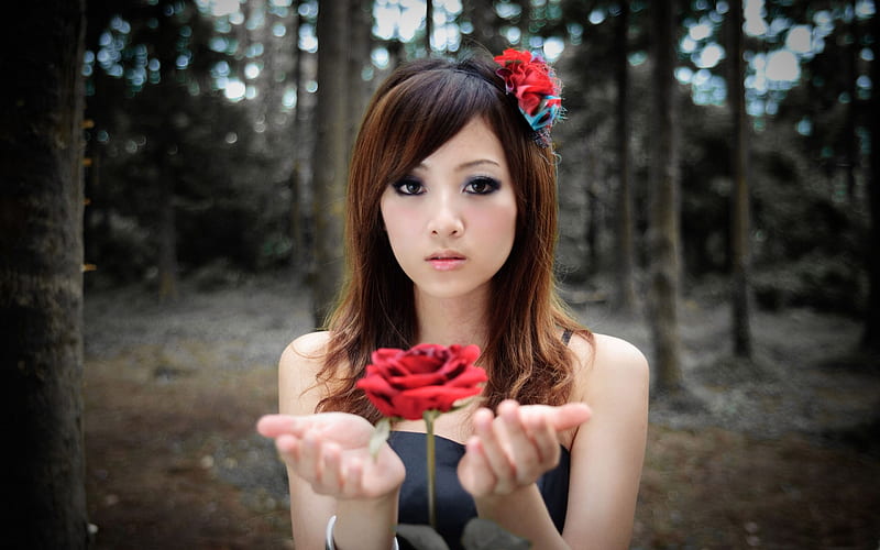 girl with red rose-Global beautiful selection, HD wallpaper