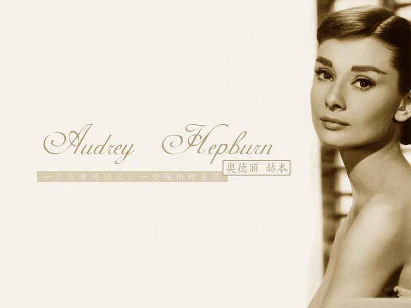 Audrey Hepburn, Screen Legend, audrey hepburn, the beautiful audrey hepburn, hollywood icon, classic audrey hepburn, HD wallpaper