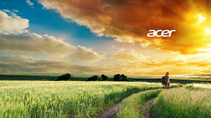 Acer, acer rápido 1, Fondo de pantalla HD | Peakpx