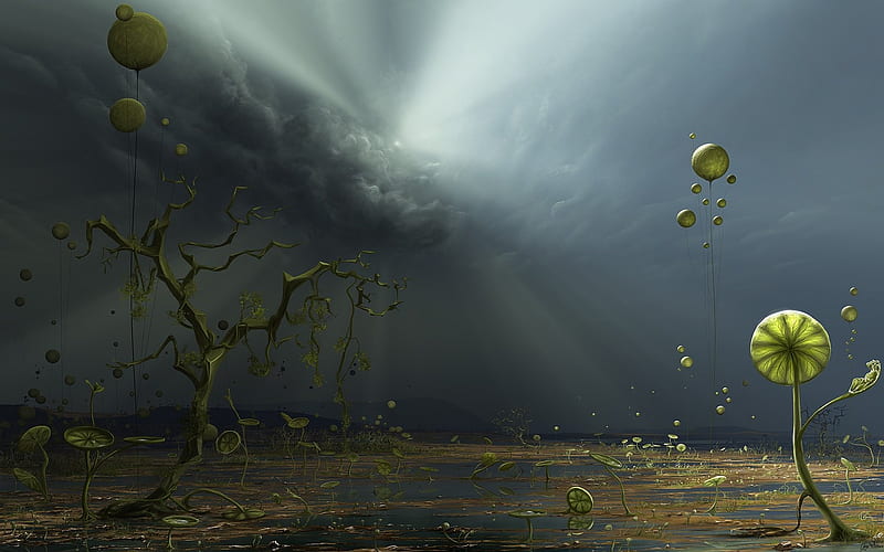 Colos of The Storm, HD wallpaper
