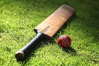 Cricket ball, bat, HD phone wallpaper | Peakpx