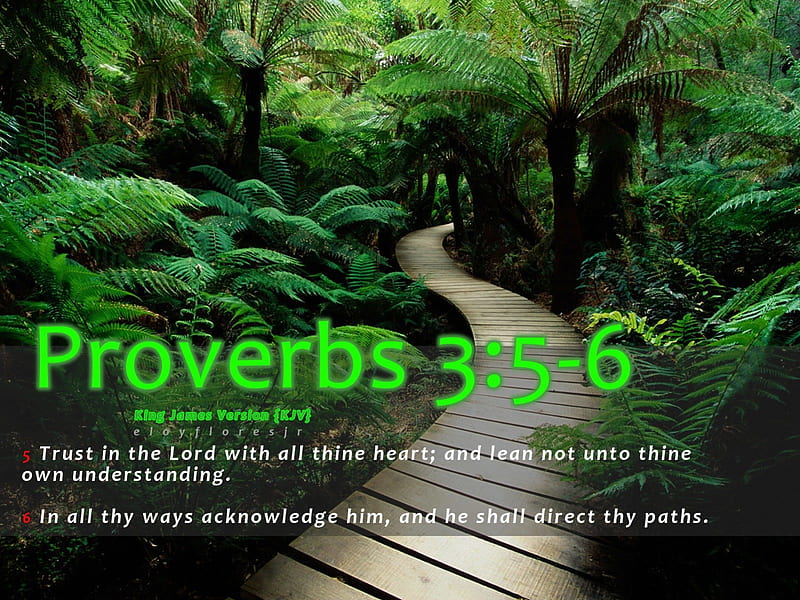 Paradise Proverbs 356  Encouraging Bible Verses