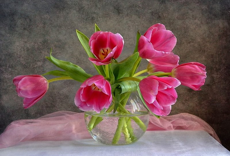 Still life in pink, pretty, lovely, vase, bonito, delicate, still life, nice, flowers, beauty, nature, tulips, room, tender, pink, HD wallpaper