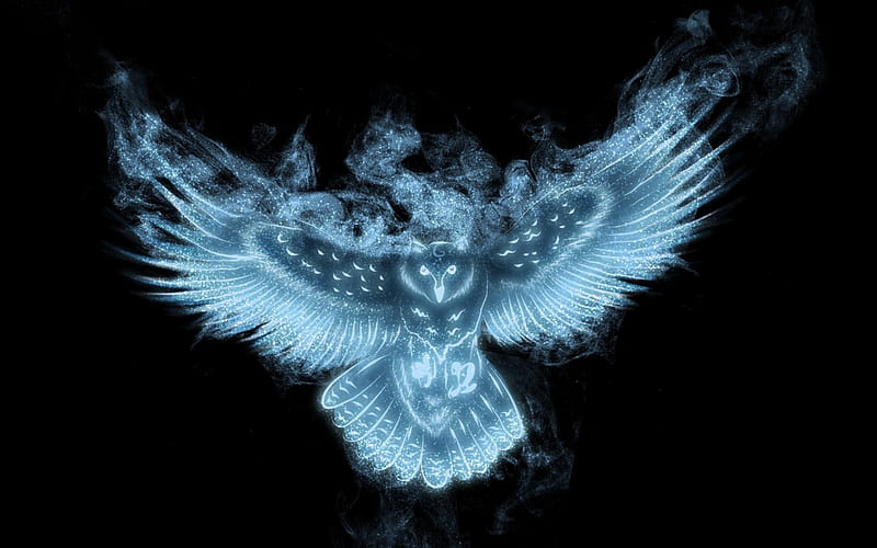 Magical owl, owl, luminos, black, fantasy, water, bird, magical, smoke, blue, HD wallpaper