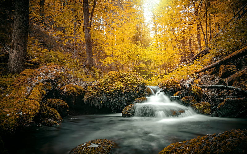Earth, Stream, Fall, Foliage, Nature, HD wallpaper
