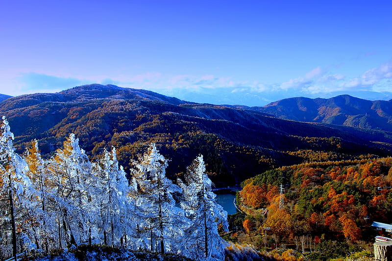 FIRST SNOW, fall, snow, mountains, foliage, winter, HD wallpaper