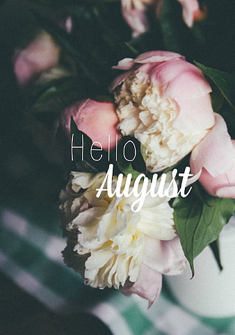 HD hello august wallpapers | Peakpx