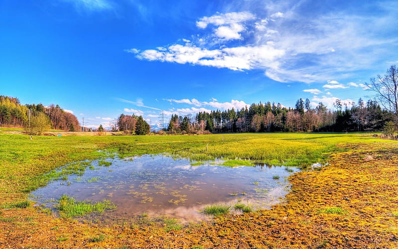 R flooded meadow-Beautiful scenery, HD wallpaper