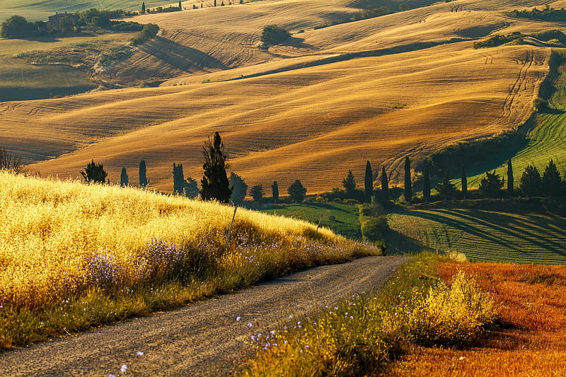 Incredible Italian Countryside Tuscany, rural, bonito, country, incredible, countryside, italian, paradise, fields, winding, road, crops, italy, tuscany, HD wallpaper