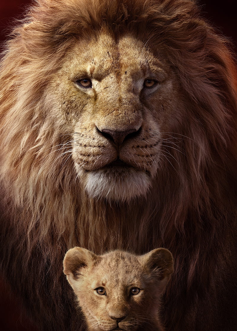 The lion king, disney movie, HD phone wallpaper