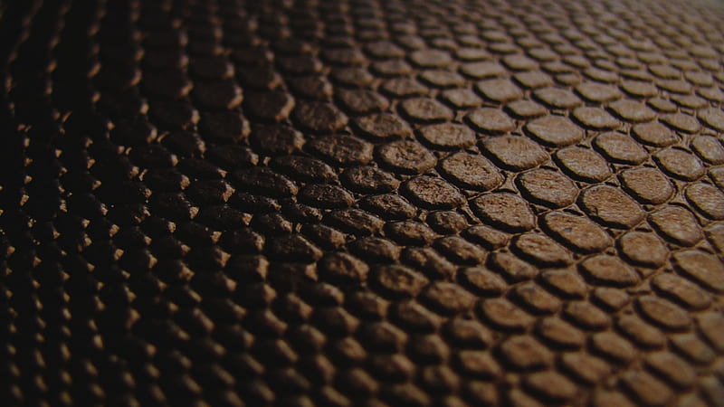 Closeup View Of Brown Stone Footpath Brown Aesthetic, HD wallpaper