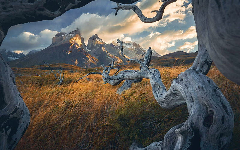 Torres del Paine NP, Chile, peaks, tree, sky, landscape, clouds, HD wallpaper