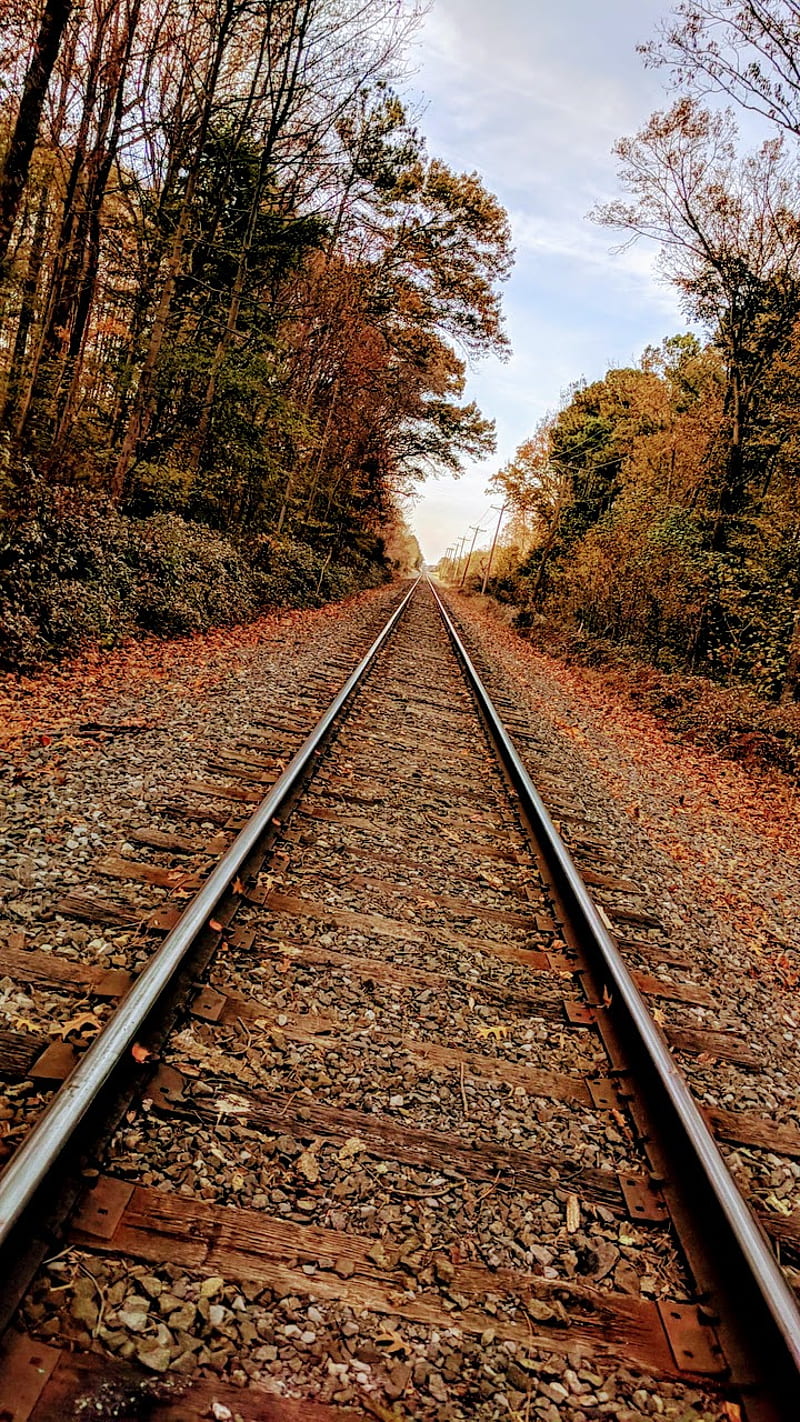 Fall tracks, railway, train tracks, HD phone wallpaper | Peakpx