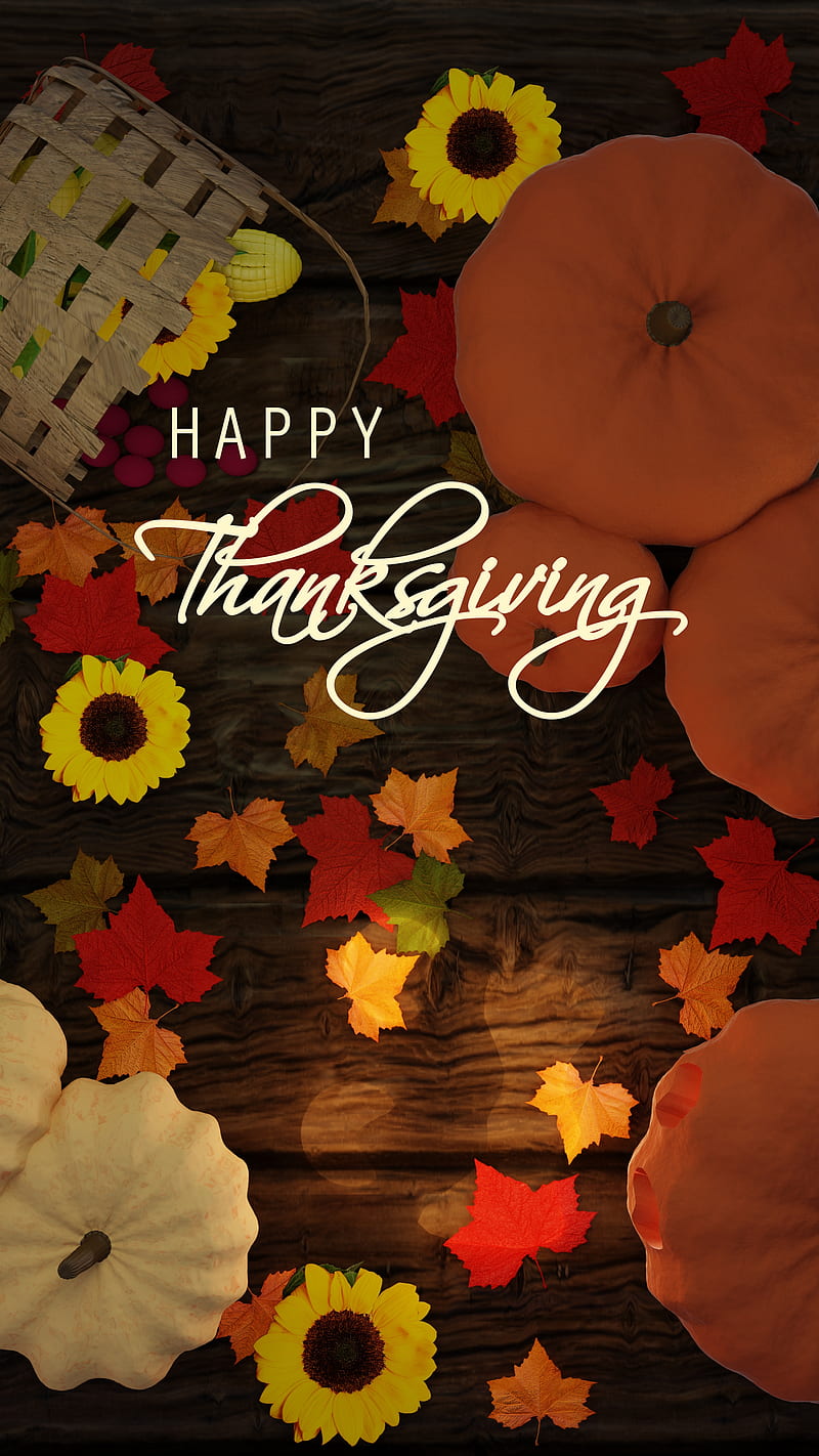 Happy Thanksgiving, Anders, Anders Lunde, Halloween, anderslunde, autumn,  fall, HD phone wallpaper | Peakpx